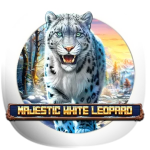 Majestic White Leopard